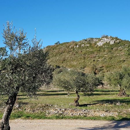 Casa Das Oliveiras Alvados Exteriér fotografie