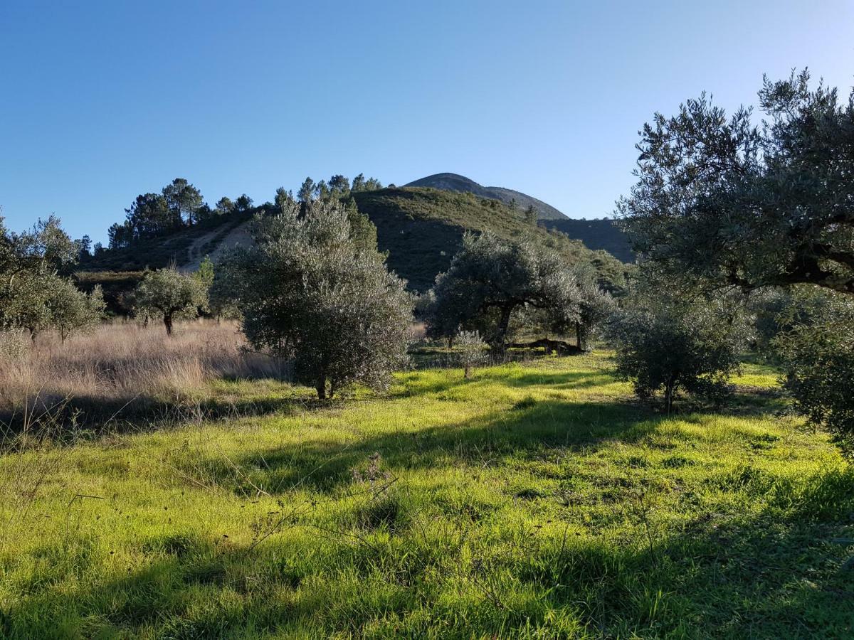 Casa Das Oliveiras Alvados Exteriér fotografie